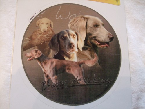 Autocollant motif chien - 1,