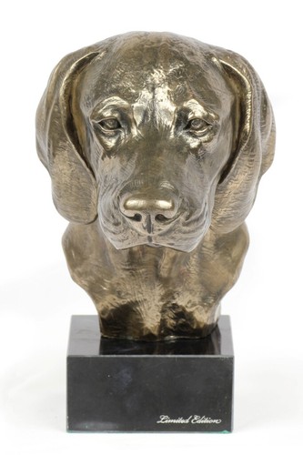 Braque weimar tête sur - braque,
