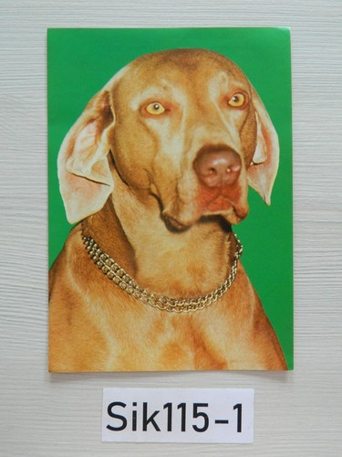 Cmx 15cm chien braque - 21,