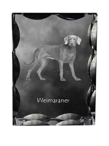 Braque weimar - de, weimar,weimar