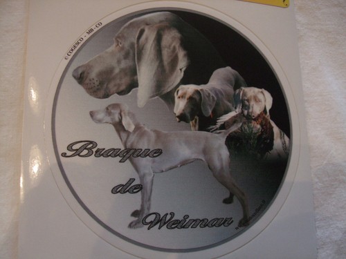 Autocollant motif chien - motif,