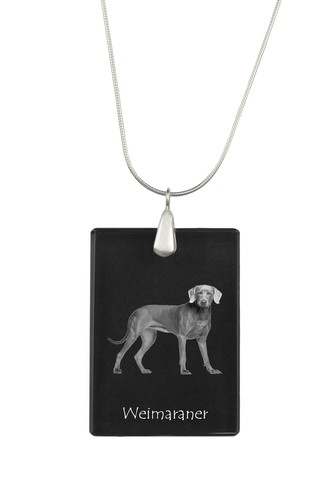 Braque weimar collier en - de,