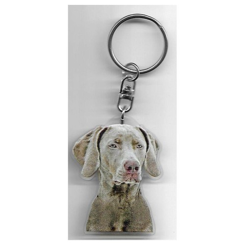 Braque weimar chien porte - de,