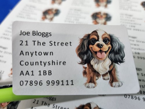 Chien adresse étiquettes 84 - Étiquettes, x
